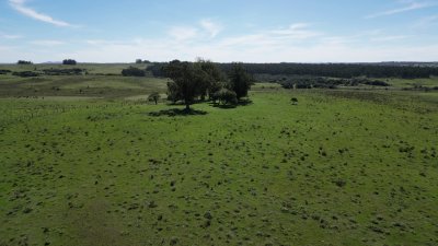 Chacra con costa en arroyo, Garzón.