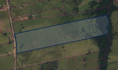 Campo sobre ruta 12.