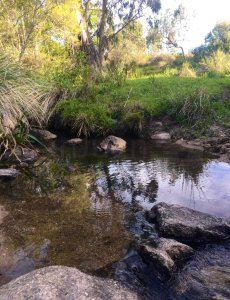 Chacra con costa en arroyo.