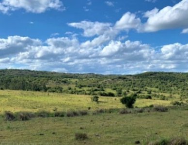 39 hectáreas próximo a Aiguá 