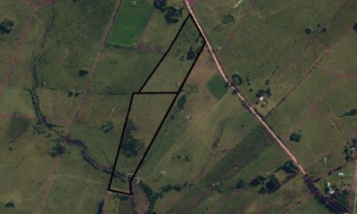 Chacras a pocos kilómetros de San Carlos