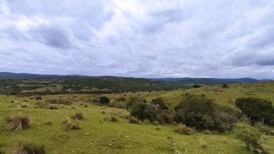 Chacra 19 hectáreas