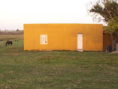 26 hás en Cañada Bellaca.