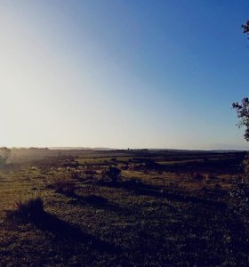 Chacra de 5 hectáreas, Las Cañas