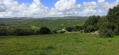 Chacra de 5,6 has en Las Cañas, Maldonado.