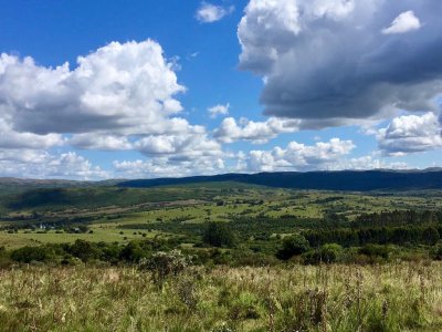 Chacra de 19,5 hás, Rincón de José Ignacio.