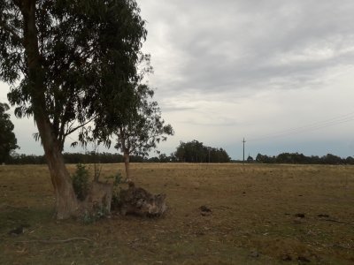 CHACRA DE 8 HÁS EN VENTA!