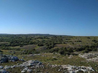 Gran campo, Lavalleja.