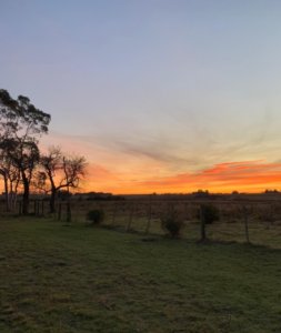 Campo en José Ignacio