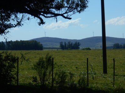 Campo de 22 hectáreas 