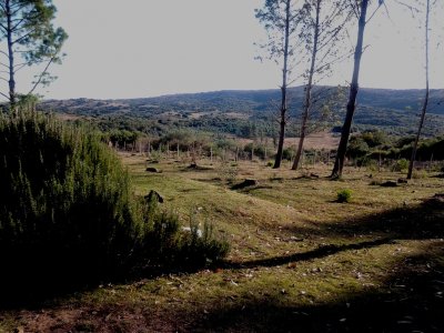 Espectacular campo con las mejores vistas. Ideal emprendimiento turístico.