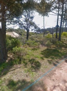 Gran terreno, Club del Lago