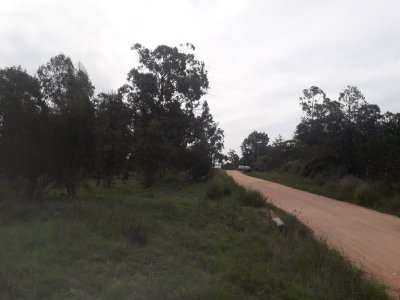 Buen terreno en Santa Mónica.