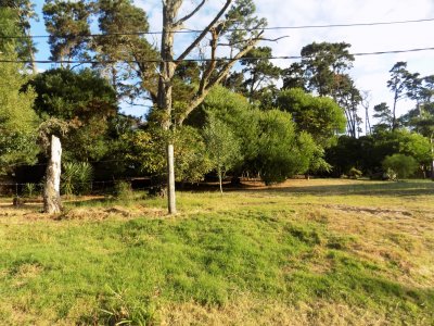 TERRENO EN VENTA 1075 MTS. PIEDRA DEL CHILENO