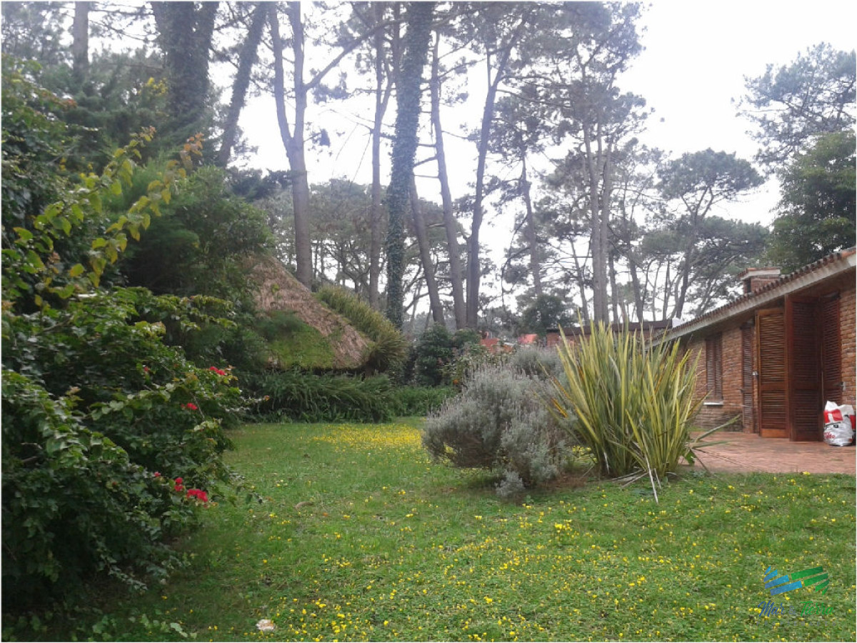 San Rafael - GoPunta - Portal Inmobiliario de Punta del Este - Maldonado