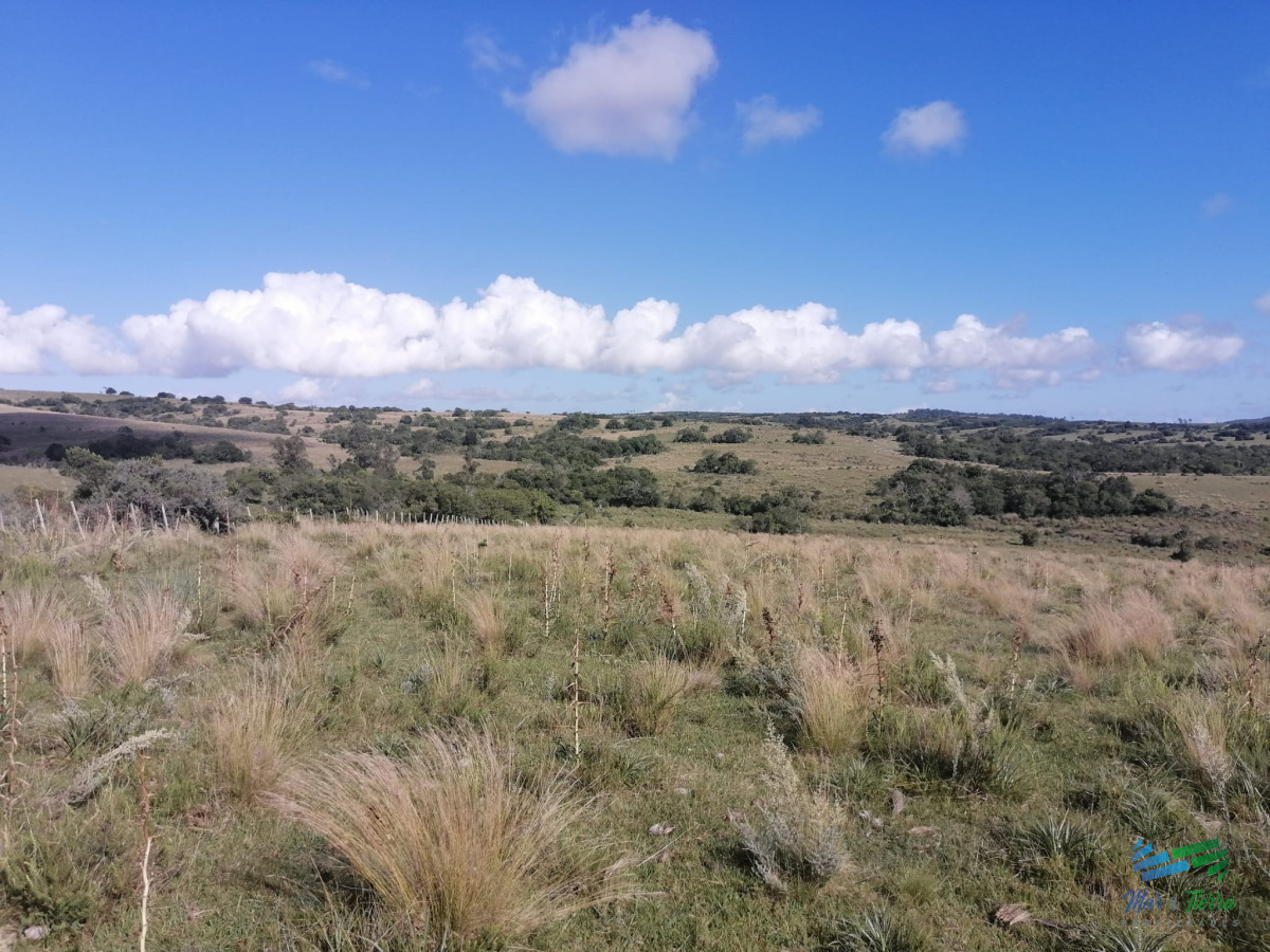 Propiedad - GoPunta - Portal Inmobiliario de Punta del Este - Maldonado