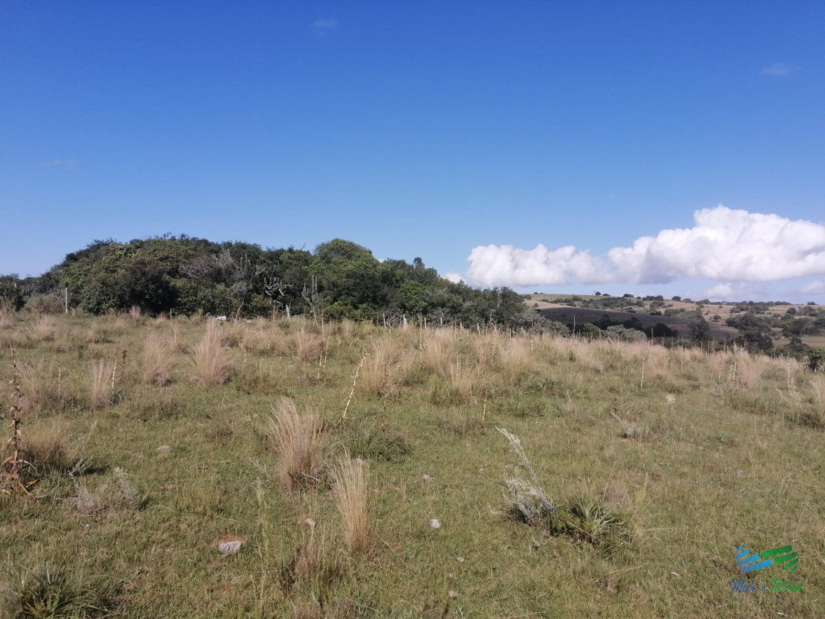 Propiedad - GoPunta - Portal Inmobiliario de Punta del Este - Maldonado