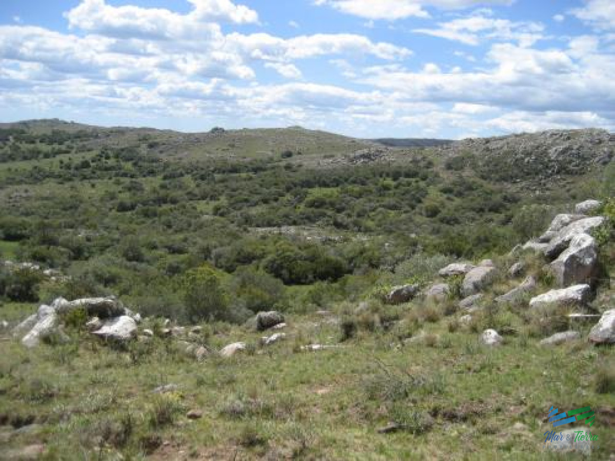Propiedad - GoPunta - Portal Inmobiliario de Punta del Este - Maldonado