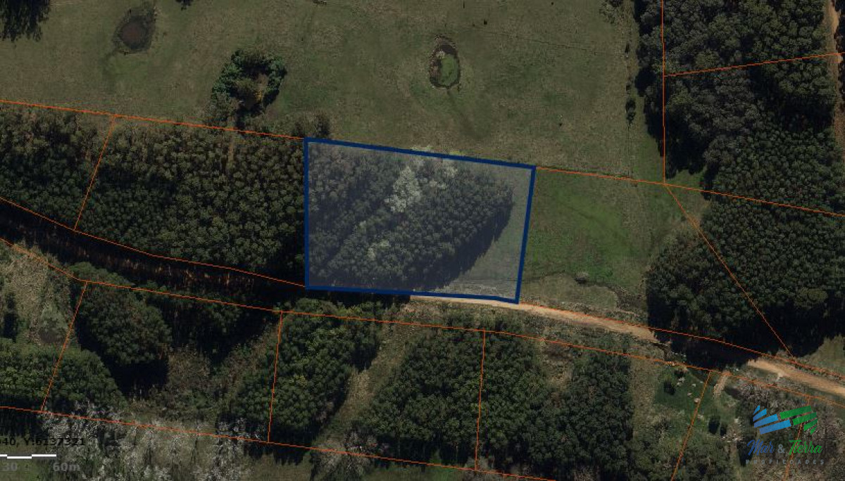 Laguna del Diario - GoPunta - Portal Inmobiliario de Punta del Este - Maldonado