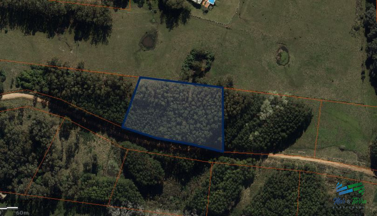 Laguna del Diario - GoPunta - Portal Inmobiliario de Punta del Este - Maldonado