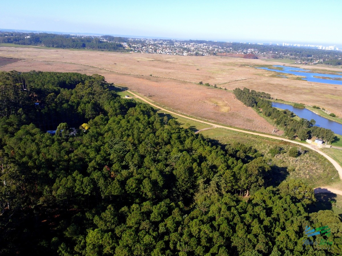 Laguna del Diario - GoPunta - Portal Inmobiliario de Punta del Este - Maldonado