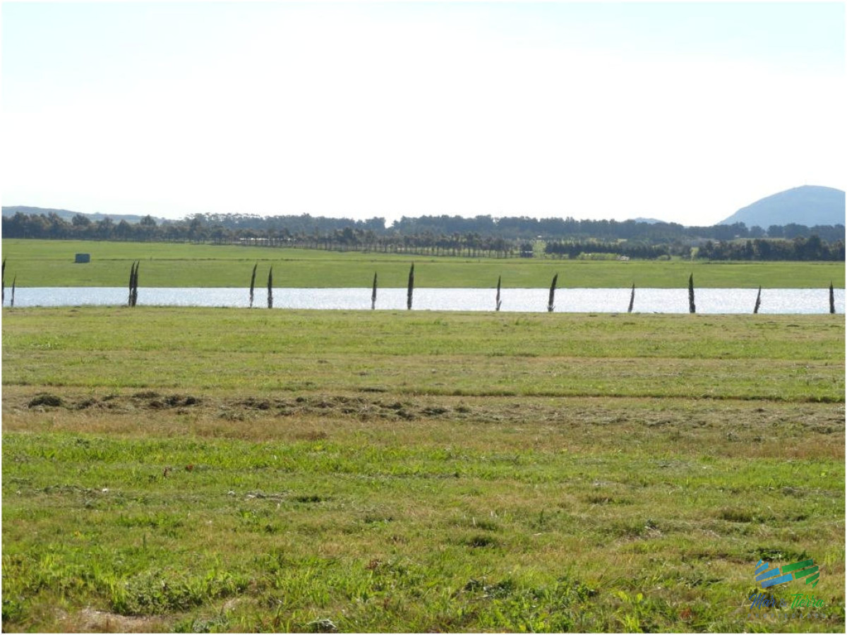 Ruta Interbalnearia - GoPunta - Portal Inmobiliario de Punta del Este - Maldonado