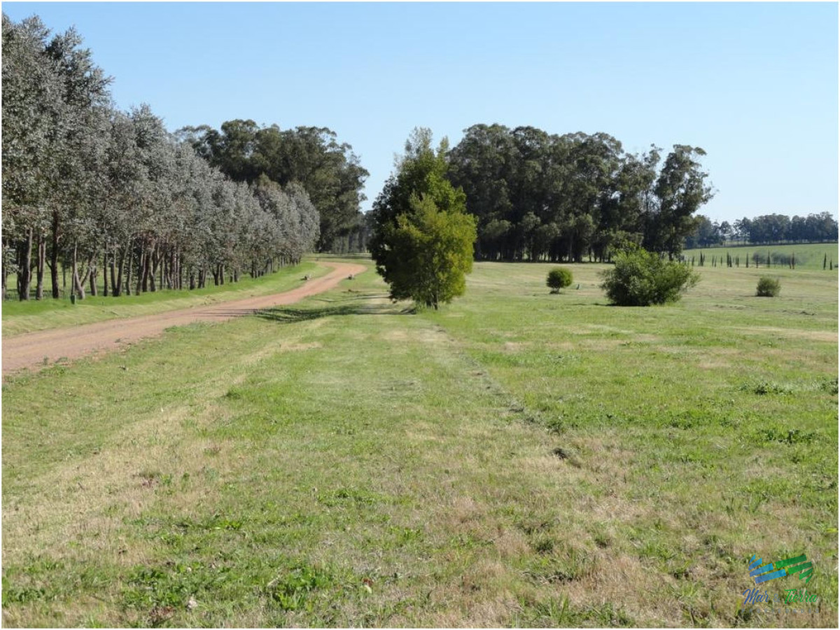 Ruta Interbalnearia - GoPunta - Portal Inmobiliario de Punta del Este - Maldonado