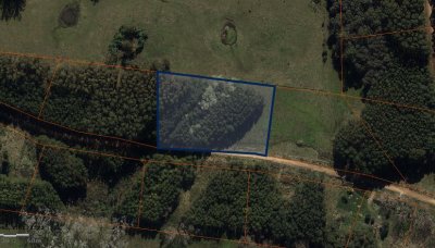 Venta de terreno en Las Silvias Punta del Este, laguna Del Diario Sup. 10.000 m2