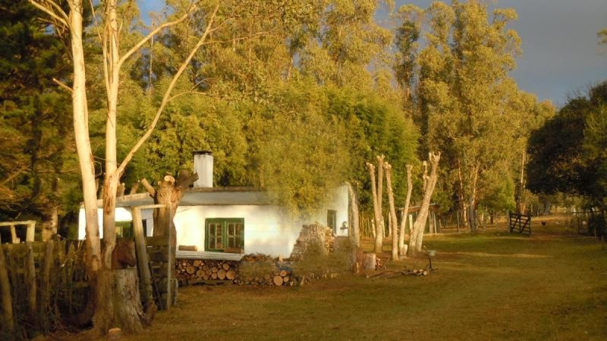 Chacra en Zona Rural, Punta del Este. terreno de 5 m²