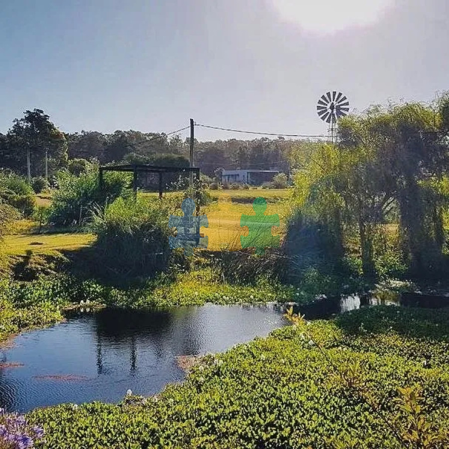San Vicente - GoPunta - Portal Inmobiliario de Punta del Este - Maldonado