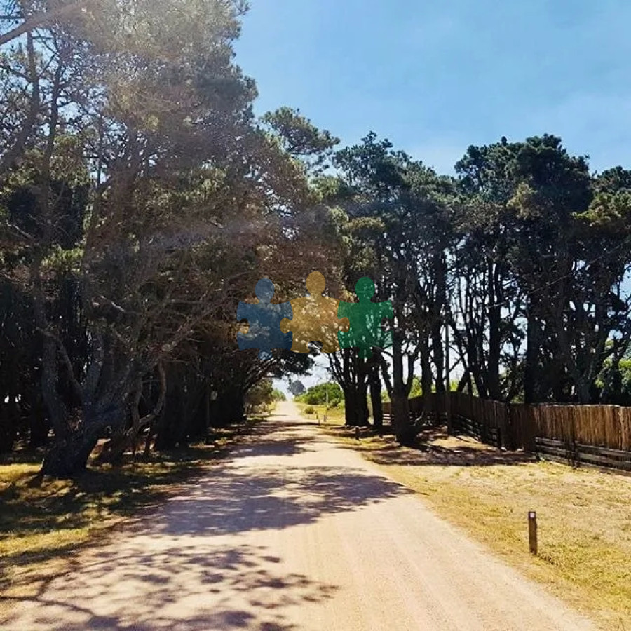 San Vicente - GoPunta - Portal Inmobiliario de Punta del Este - Maldonado