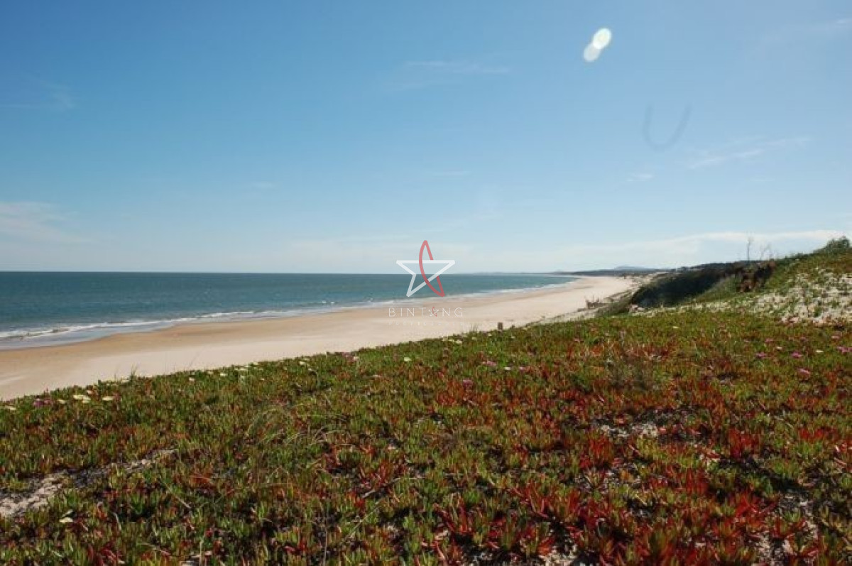 Tio Tom - GoPunta - Portal Inmobiliario de Punta del Este - Maldonado