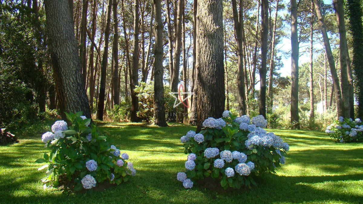 Laguna Blanca - GoPunta - Portal Inmobiliario de Punta del Este - Maldonado