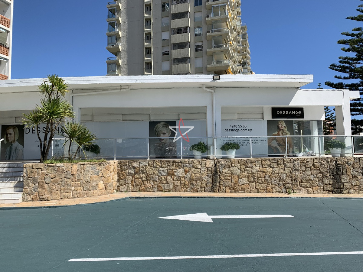 Mansa - GoPunta - Portal Inmobiliario de Punta del Este - Maldonado