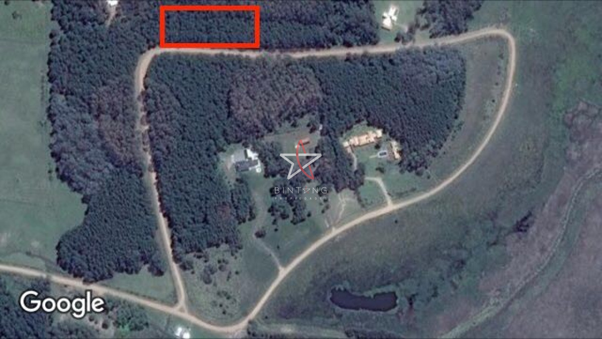 Camino Lussich - GoPunta - Portal Inmobiliario de Punta del Este - Maldonado