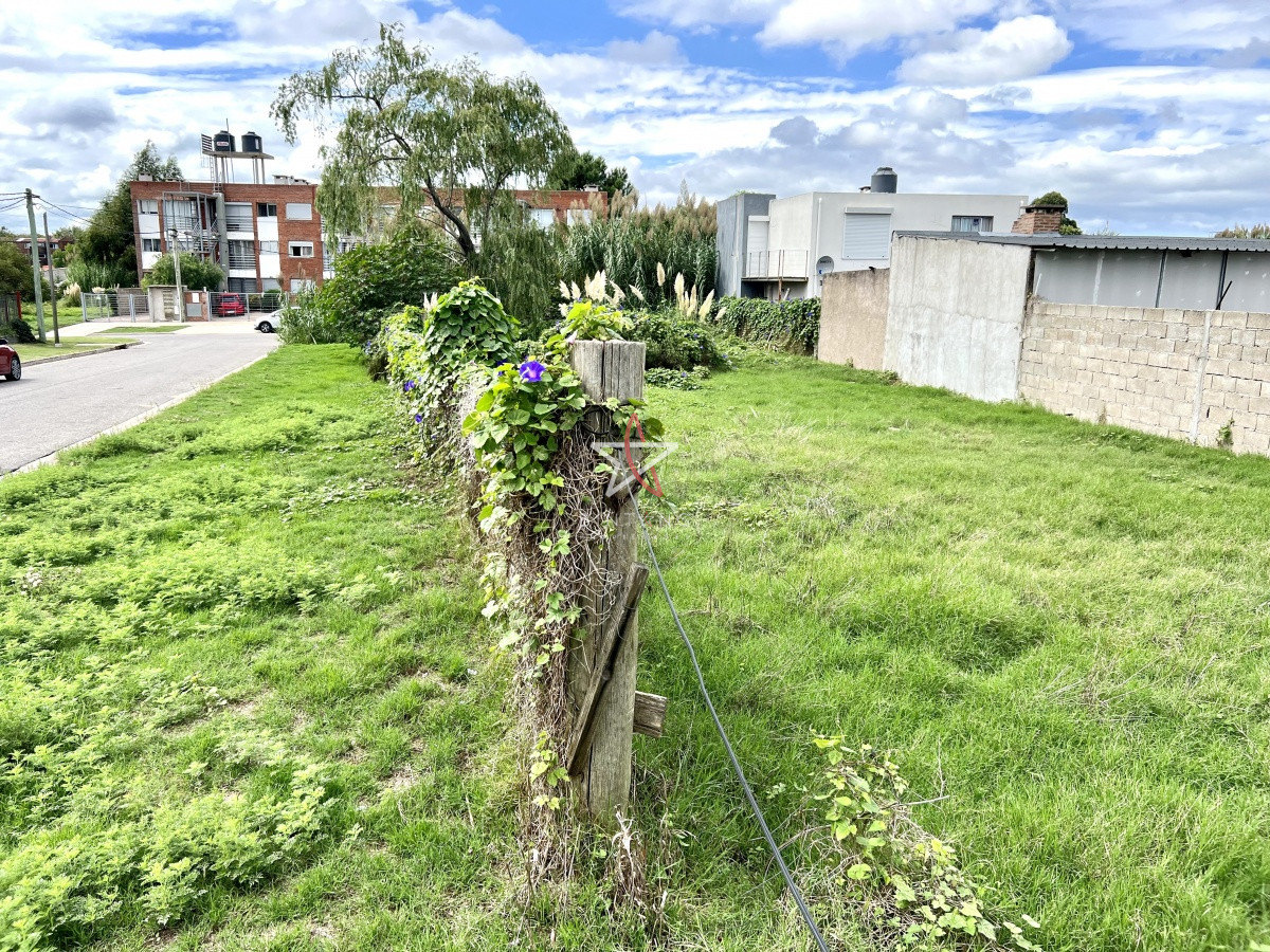 Maldonado - GoPunta - Portal Inmobiliario de Punta del Este - Maldonado