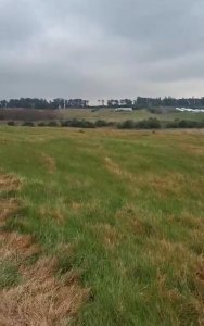 Chacra de 5 has en venta 