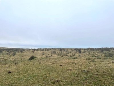 Campo 150 has en Venta, Los Caracoles