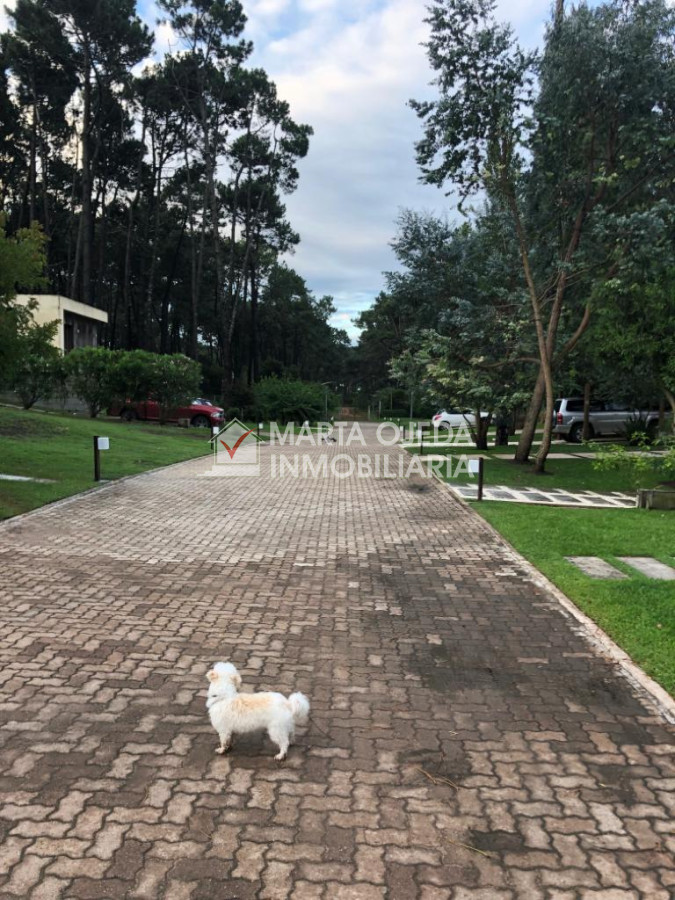 Rincón del Indio - GoPunta - Portal Inmobiliario de Punta del Este - Maldonado