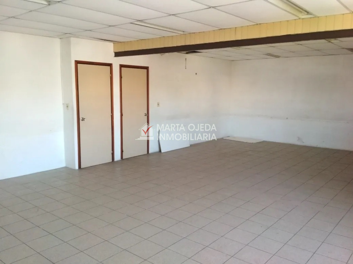 Odizzio - GoPunta - Portal Inmobiliario de Punta del Este - Maldonado