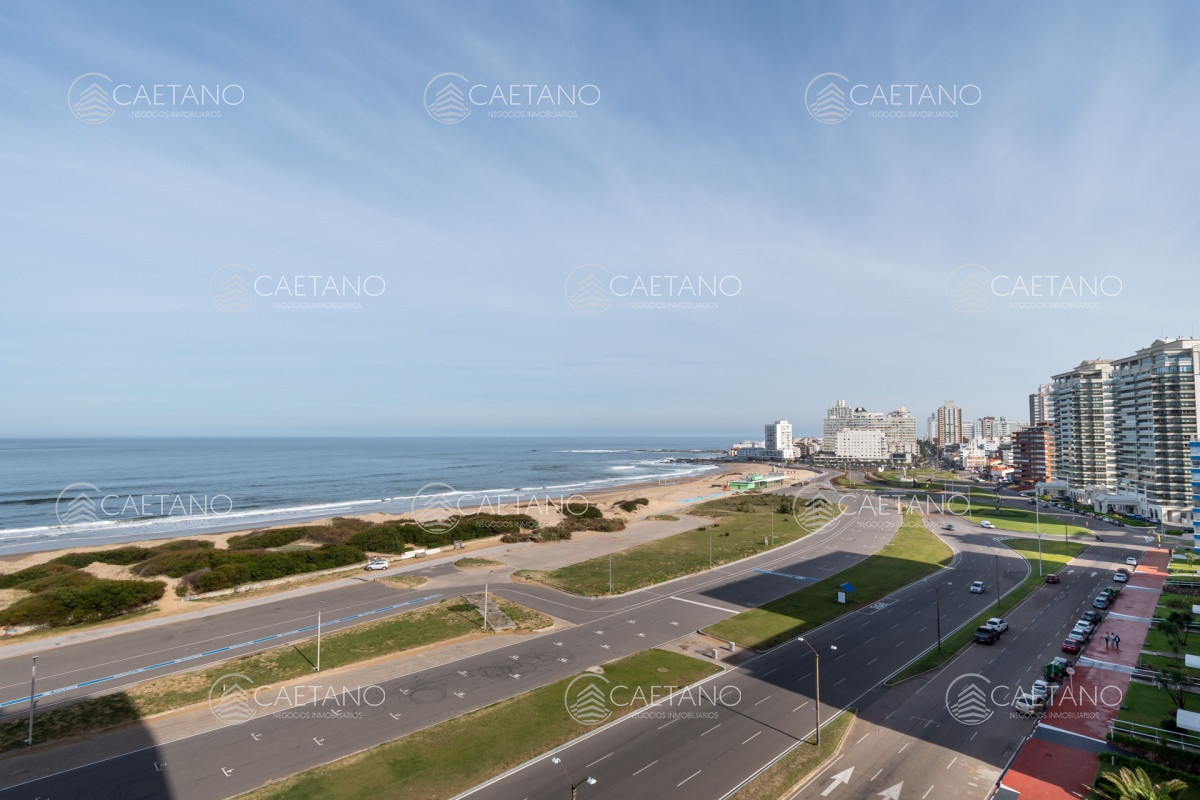 Punta del Este - GoPunta - Portal Inmobiliario de Punta del Este - Maldonado