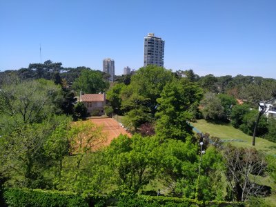 Cómodo y luminoso apartamento sobre importante avenida