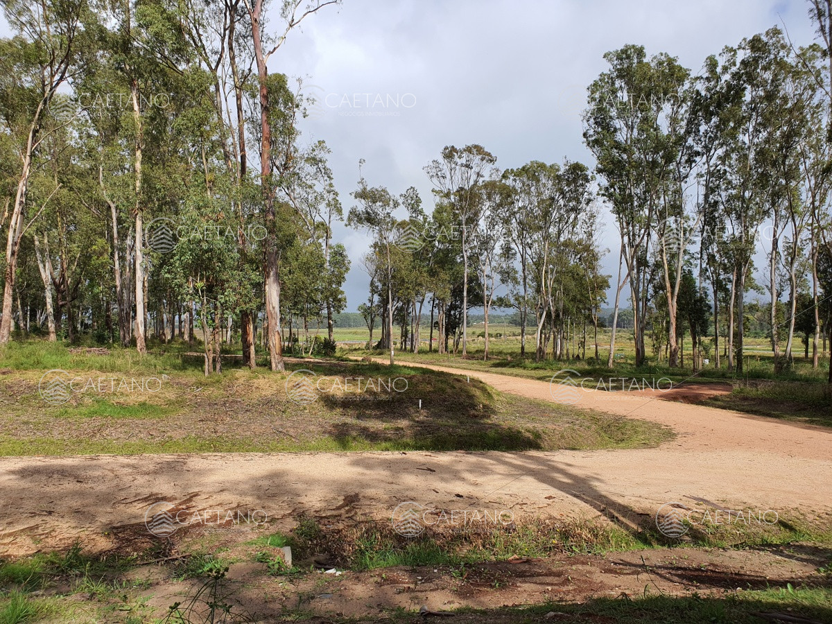 Propiedad - GoPunta - Portal Inmobiliario de Punta del Este - Maldonado
