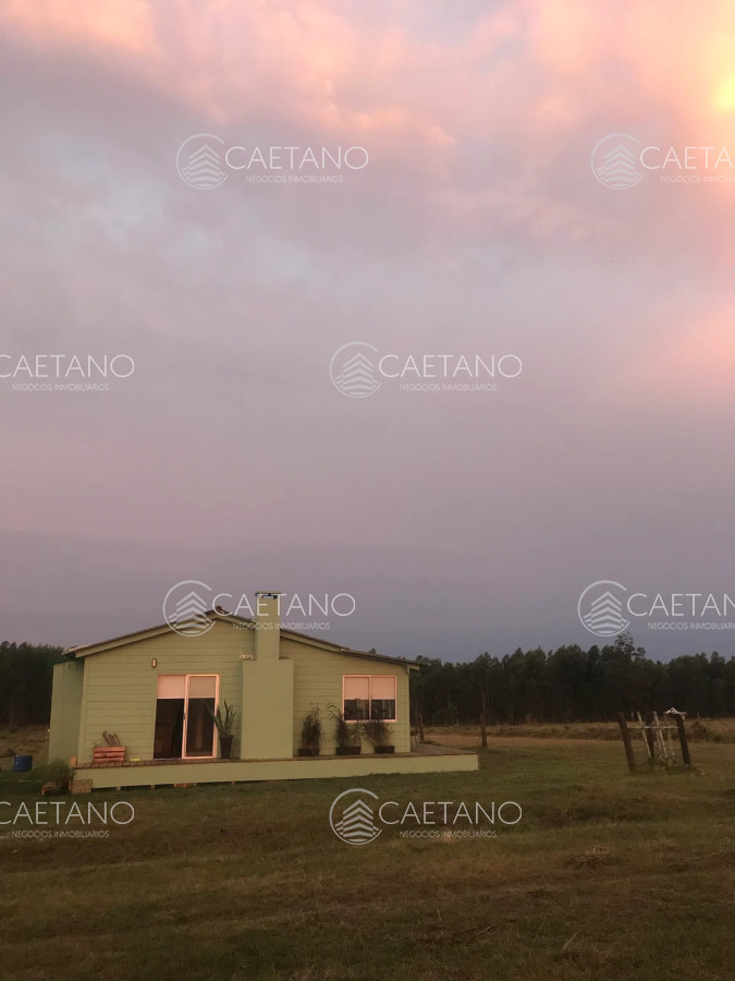 Las Garzas - GoPunta - Portal Inmobiliario de Punta del Este - Maldonado