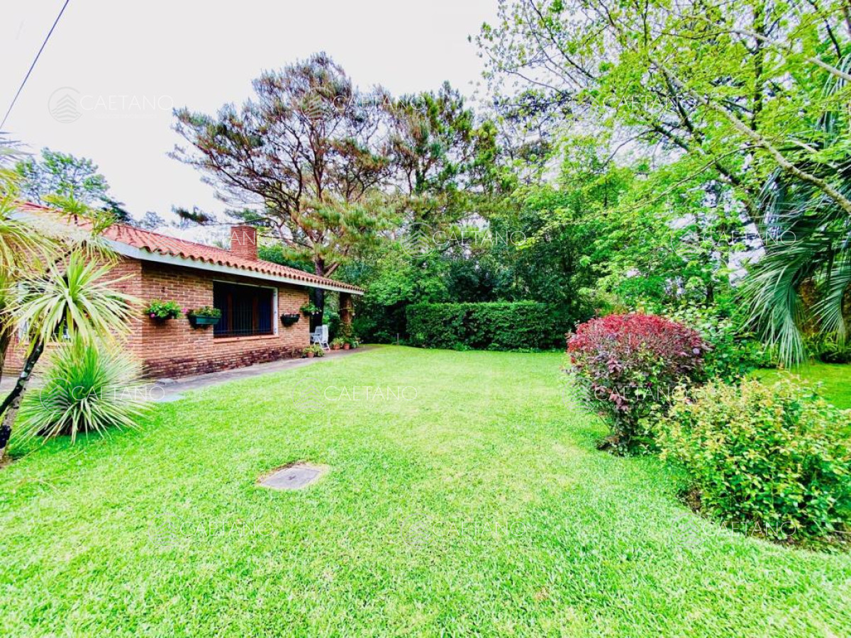 Camino a la Laguna - GoPunta - Portal Inmobiliario de Punta del Este - Maldonado