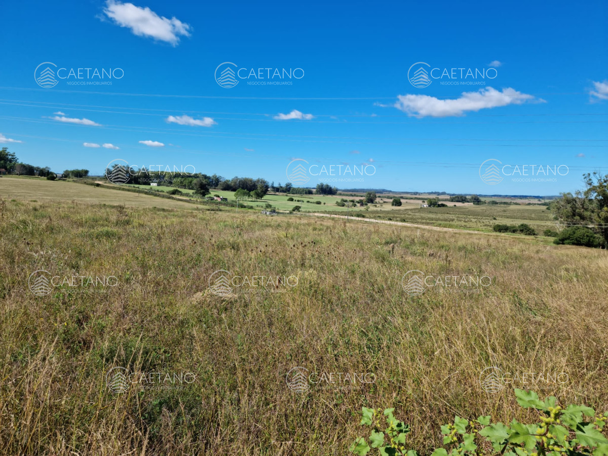 Camino de los Ceibos - GoPunta - Portal Inmobiliario de Punta del Este - Maldonado