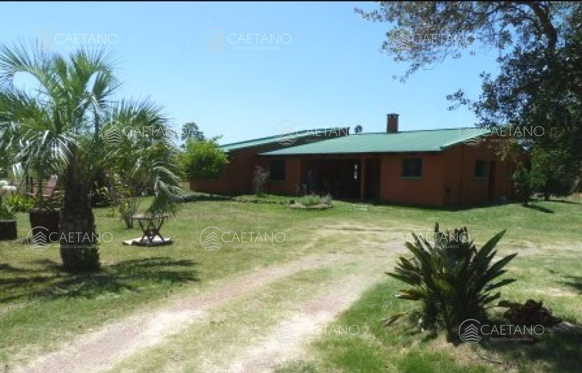 Parque Anita - GoPunta - Portal Inmobiliario de Punta del Este - Maldonado