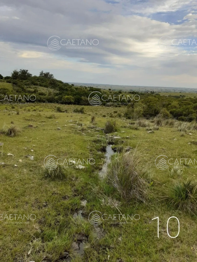 San Carlos - GoPunta - Portal Inmobiliario de Punta del Este - Maldonado