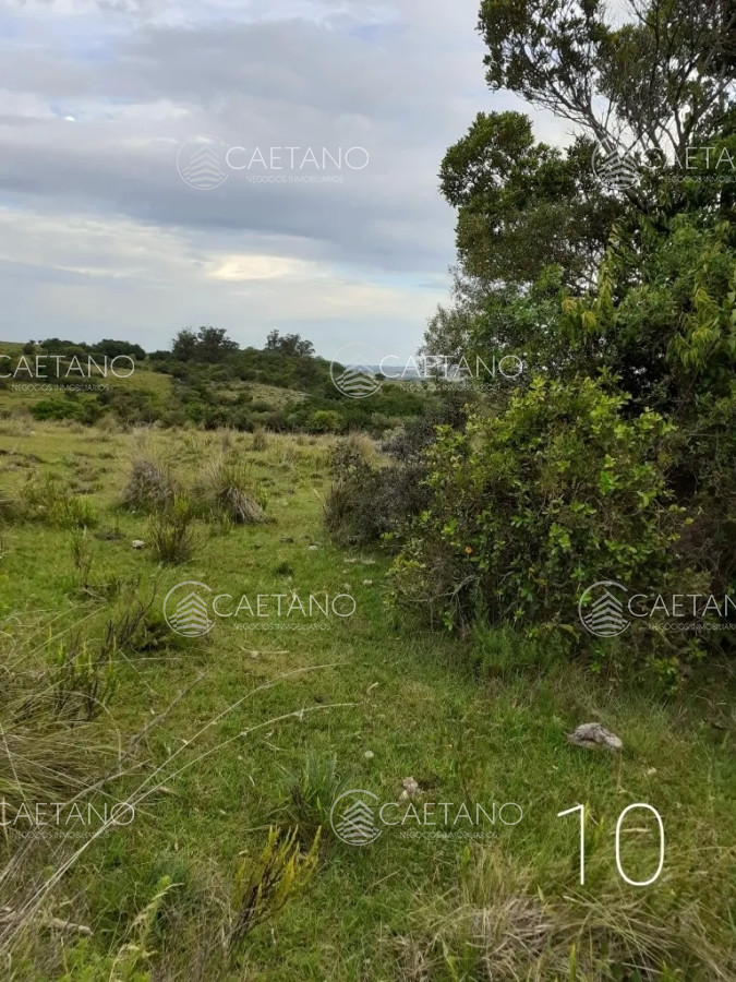 San Carlos - GoPunta - Portal Inmobiliario de Punta del Este - Maldonado