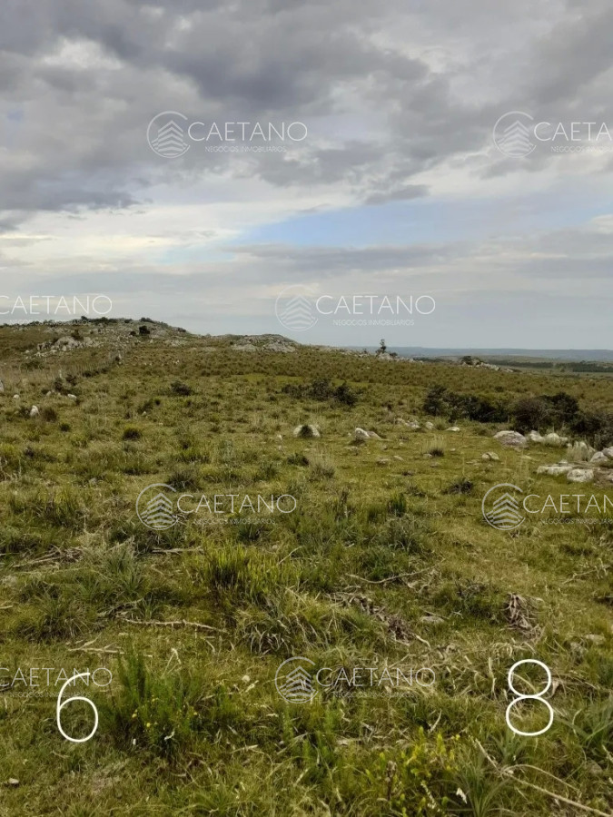 Las Cañas - GoPunta - Portal Inmobiliario de Punta del Este - Maldonado